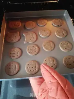 Make Crackers in digestive step 10