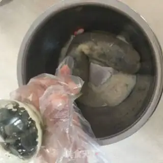 Make Homemade pine balls step 8