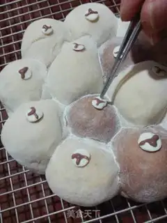 Make Squeeze bear bread step 13