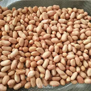 Make Homemade fragrance peanut rice step 2