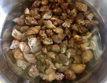 Make Garlic pepper sauce and fried cocoon step 0