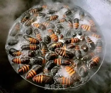 Make Dry ricin step 0