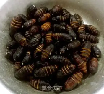 Make Dry ricin step 1