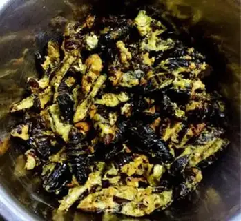 Make Dry ricin step 6