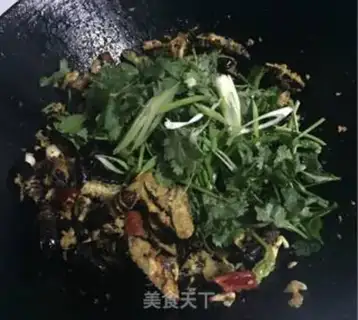 Make Dry ricin step 12
