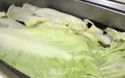 Make Korean cabbage step 5