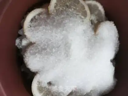 Make Ice-cream lemon step 1