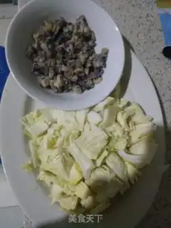 Make The conch and the cabbage step 0