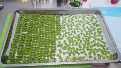 Make Colour Manual Cartoon Noodles step 1