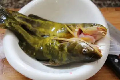 Make Sourfish step 1