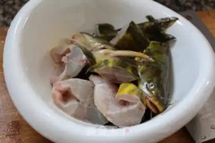 Make Sourfish step 2