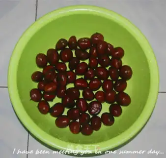 Make Chestnut step 0