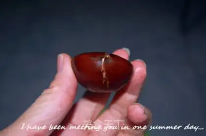 Make Chestnut step 1