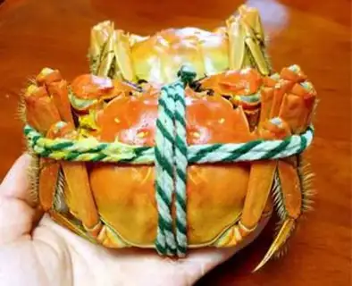 Make Crabs from the lake step 2