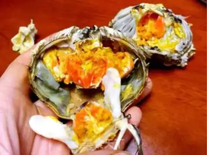 Make Crabs from the lake step 4
