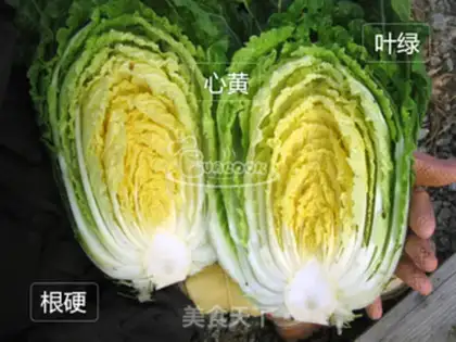 Make Korean cabbage step 0