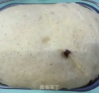 Make Whole wheat bread step 2