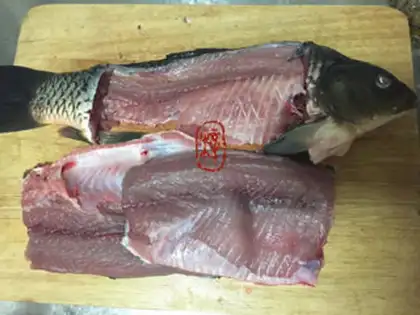 Make Sourfish step 1