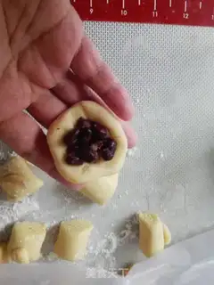 Make Chicken step 5