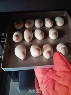 Make Chicken step 9