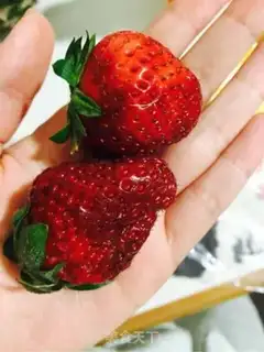 Make Sour fruit salad step 1