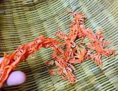 Make The carrots step 5
