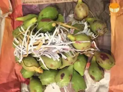 Make Cactus jam step 0