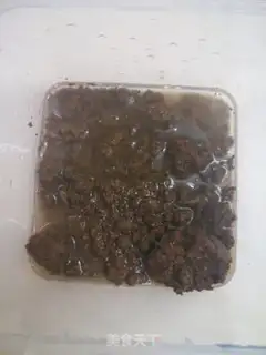 Make Bad dragonfish step 1