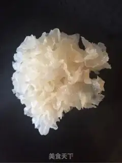 Make Silver-tree soup step 0