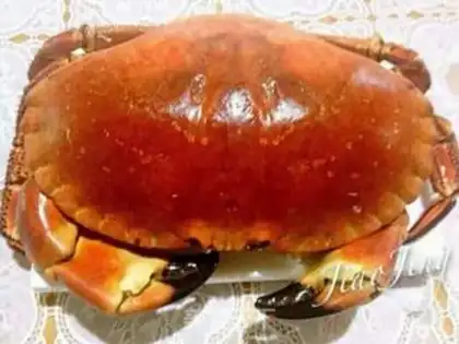 Make Crabs step 0