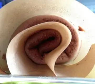 Make Coco Strawberry Cake roll step 9