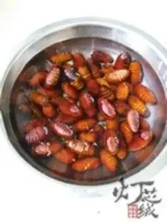 Make Saline boiled silk step 1