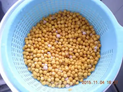 Make New version of pea yellow step 0
