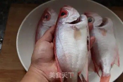 Make Vacuated halibut step 0