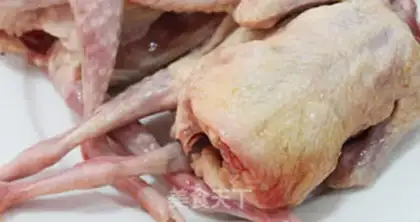 Make The yellow, red, red, green pigeon step 1