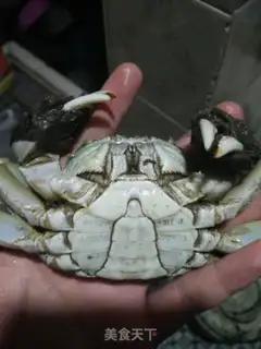 Make Crabs step 2