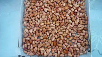Make Salted peanut rice step 1