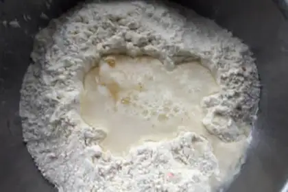 Make Homemade onions step 1