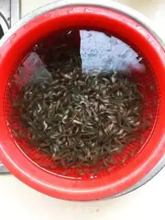 Make Shrimp onions step 1