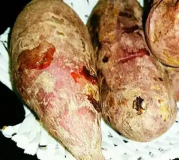 Make Roast potatoes step 2