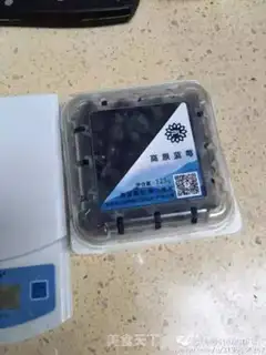 Make Blueberry Fly step 1