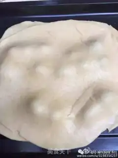 Make Blueberry Fly step 5