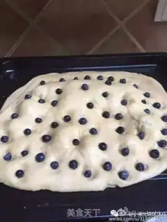 Make Blueberry Fly step 8