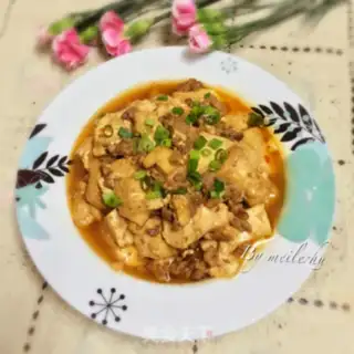 Make Meat tofu step 9