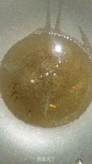 Make Squidfish step 2