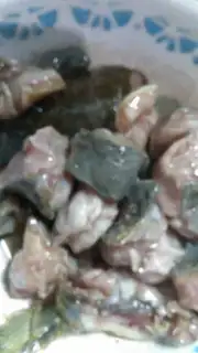 Make Squidfish step 4