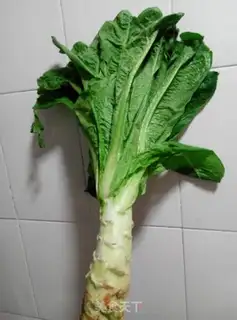 Make A cold leaf step 0