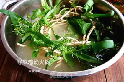Make Wild chicken soup pot step 3