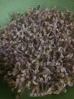 Make Green bean sprouts step 6