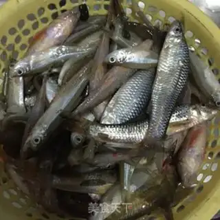 Make Precious fish step 0